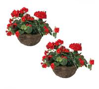Primrose Pair of Large Artificial Geranium Flowers Rattan Hanging Basket Decoration Red 30cm Primrose Multicolor