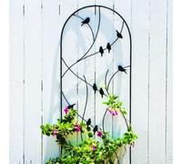 Primrose Perching Birds On A Branch Design Trellis Plant Support In Black