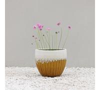 Primrose Ribbed Textured Glazed Round Patio Planter in Two Tone Yellow 30cm in Brown Primrose Brown