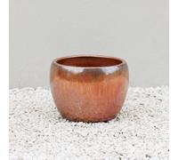 Primrose Round Garden Planter In Glazed Metallic Bronze Finish 22Cm