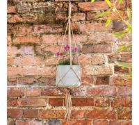 Primrose Round Natural Cement Wall Or Ceiling Hanging Plant Pot In Grey 20Cm