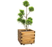 Primrose Small Wooden Outdoor Raised Cube Planter Treated Pine and Responsibly Sourced 42cm (16.5in)