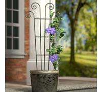 Primrose Spiral Topped Wave Design Trellis & Plant Support in Green 121cm Primrose Green