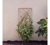 Primrose Square Natural Willow Garden Trellis Panel 150Cm X 45Cm