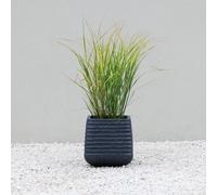 Primrose Square Ridged Outdoor Planter Garden Flower Pot In Black 28Cm