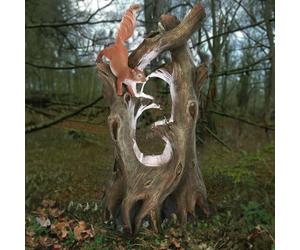 Primrose Squirrel Tree Water Feature Cascade Natural Wood Effect Garden in Stone Primrose Stone