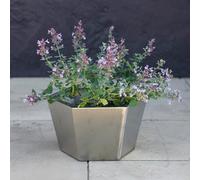 Primrose Stainless Steel Hexagon Metal Outdoor Garden Silver Pot Planter 30Cm