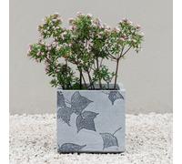 Primrose Stone Effect Garden Planter with Leaf Embossed Design in Grey 38cm Primrose Grey