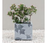 Primrose Stone Effect Garden Planter with Leaf Embossed Design in Grey 38cm Primrose Grey