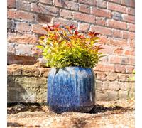 Fibrecotta Round High Gloss Garden Planter In Blue Mix 27cm - Blue