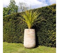 Primrose Tall Round Ribbed Terracotta Planter In Cream 59cm in Beige Primrose Beige