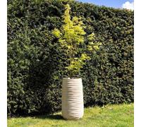 Primrose Tall Round Ribbed Terracotta Planter In Cream 80cm in Beige Primrose Beige