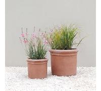 Primrose Terracotta Planter Massa Round Cylindrical Rimmed Drainage Hole 60cm