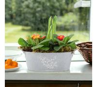 Primrose Tete A Tete Planted Trough Container Vibrant Gift Of Spring Flowers Garden Plant