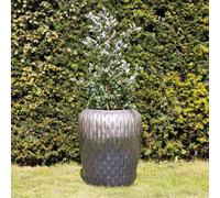 Primrose Two-Tone Textured Terracotta Round Planter In Metalic Two Tone 103cm in Metallics Primrose Metallics
