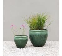 Primrose Volterra Glazed Terracotta Planter In Green 39Cm