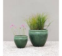 Primrose Volterra Glazed Terracotta Planter in Green | Size: Large Primrose Green L