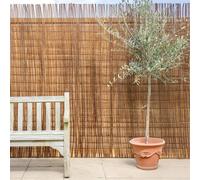 Primrose Willow Fence Privacy Screening Roll 3m Wide in None | Size: 1m tall x 3m wide Primrose None 1m tall x 3m wide