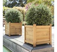 Primrose Wooden Tapered Pine Planter Raised Cube Garden Pot Liz Frances 55cm in Natural Primrose Natural