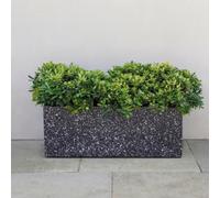 Primrose Zinc Trough Planter In Black Stone Finish 70Cm