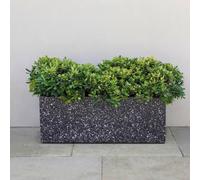 Primrose Zinc Trough Planter in Black Stone Finish 70cm in Grey Primrose Grey