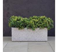 Primrose Zinc Trough Planter In White Stone Finish 75Cm