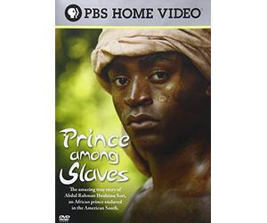 Prince Among Slaves [DVD] [2008] [US Import]