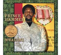 Prince Hammer - Mwalimu
