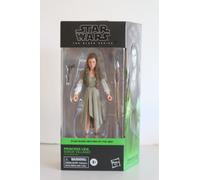 Hasbro Star Wars The Black Series Princess Leia (Ewok Village)