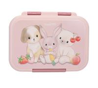 Princess Mimi 4010070724573 Lunch Box Pink Kids