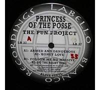 Princess Of The Posse - Princess Of The Posse / The Pun Project