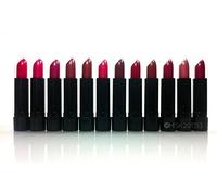 Princessa Aloe Lipsticks Set - 12 Fashionable Colors/Long Lasting