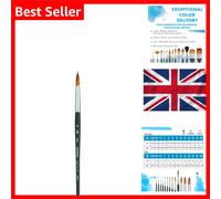 Princeton Aqua Elite NextGen 4850 Artist Brush Size 10 Watercolor Synthetic