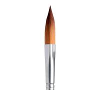 Princeton Aqua Elite Series 4850 Synthetic Brush - Prism, Size 8, Short Handle