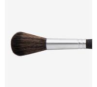 Princeton : Aqua Elite : Synthetic Kolinsky Sable : Watercolour Brush : Series 4850 : Short Handle : Mop : Size 3/4in