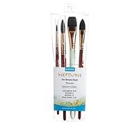 Princeton Neptune Fine Art Watercolours Brushes Pro Set, Synthetic Squirrel, 4 Piece Brush Set, Short Handle, Ideal for Professionals & Students