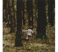 PRINCIPLES OF GEOMETRY - A Mountain for President Feat. Sebastien Tellier [12" VINYL]