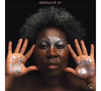 Principles of Joy – It's Soul That Counts – CD