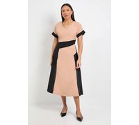 Principles Women's Contrast Roll Sleeve Midi Dress in Black | Size: 16 Principles Black 16
