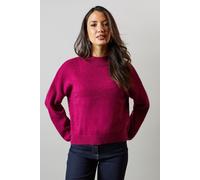 Principles Womens Jumper High Neck Berry Knitted Pullover Cosy Long Sleeve