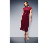 Principles Women's Striped Velvet Ruched Waist Midi Dress in Berry | Size: 18 Principles Berry 18