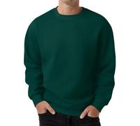 PrinStory Mens Sweatshirts Long Sleeve Pullover Textured Round Neck Warm Jumper Tops with Ribbed Hem (Green, S)