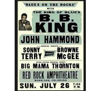 Print 1 H bb king blues concert poster