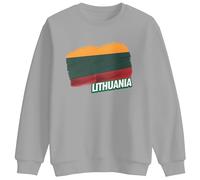 Print Cartel Lithuania Flag Sweatshirt Kids Sweatshirt Unisex Casual Crewneck Pullover Fit Souvenir Clothing for Boys and Girls, 7-8 Years, Sport Grey