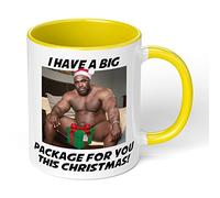 Print Maniacs Barry Wood 11oz Mug Secret Santa Stocking Women Girls Her Hot Coffee Tea Xmas Present Adult Joke Funny Rude Naughty Big Package Mug (Yellow Fill)