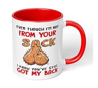 Print Maniacs Fathers Day Mug Gift Stepdad Christmas Birthday Dad Not from Your Humor Funny (Red Fill and Handle Mug)