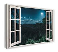 Print on Canvas (100x70 cm) view from the window - full moon light forest natural plants - nature photography, real wood frame with hook