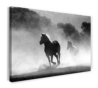 Print on Canvas (120x80 cm) horse, herd nature fog forest, black and white, animal photo, nature photography, real wood frame with hook