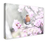 Print on Canvas (60x40 cm) bird with cherry blossoms, spring forest flowers, cold colors, animal photos, nature photography, Canvas on wooden frame