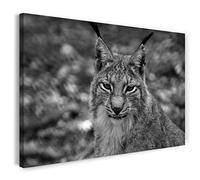 Print on Canvas (80x60 cm) lynx, predatory cat in mountain nature, black and white, animal photos, nature photography, real wood frame with hook